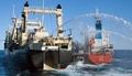 南極海（Southern Ocean）で、日本の調査捕鯨船「日新丸（Nisshin Maru）」（左）と補給タンカー「サン・ローレル（San Laurel）号」（右）の間に割り込む反捕鯨団体シー・シェパード（Sea Shepherd Conservation Society）の抗議船「ボブ・バーカー（Bob Barker）号」（中央、2013年2月25日撮影、同26日提供）。(c)AFP/SEA SHEPHERD AUSTRALIA/TIM WATTERS