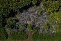 ブラジル北東部パラ州のメウガソ近郊の森林伐採地帯（2020年7月30日撮影）。(c) TARSO SARRAF / AFP