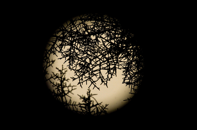 8月最後の夜に「ブルームーン」、同じ月に出る2度目の満月