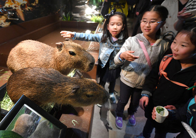 「放し飼い」展示で生き物により近く 「オービィ横浜」の展示が4月から拡大へ