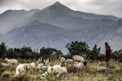 200人が武器奪い脱獄、銃撃戦で4人死亡 ウガンダ