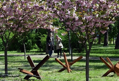 ウクライナの「京都公園」 桜と対戦車障害物の中を散策