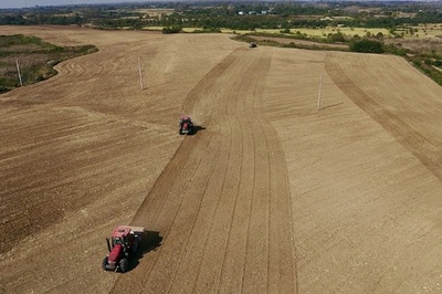 中国の穀物生産量が増加