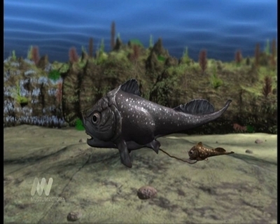 【動画】考古史上最古、約4億年前の「お母さん」魚の化石発見