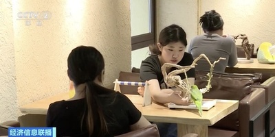 中国黒竜江省で「愛鳥ブーム」 インコカフェ人気、飼育産業も活況