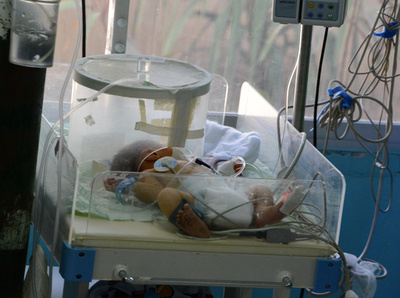 ジカウイルス、子宮頸管内に残存する恐れ 研究