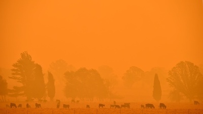 豪首都近くの森林火災、勢い弱まる 次は嵐か