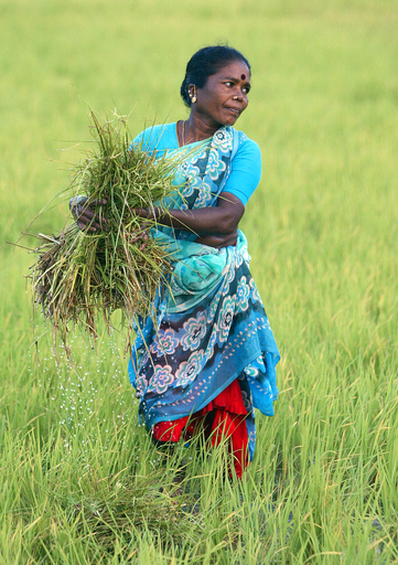 ドーハ・ラウンド再開へ向け、G4通商担当相らが協議 - インド