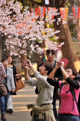 春到来、開花した桜を楽しむ人々 都内