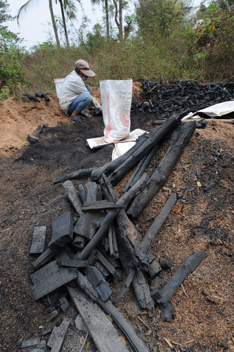 ラオス、まきを使った調理が環境問題の一因に