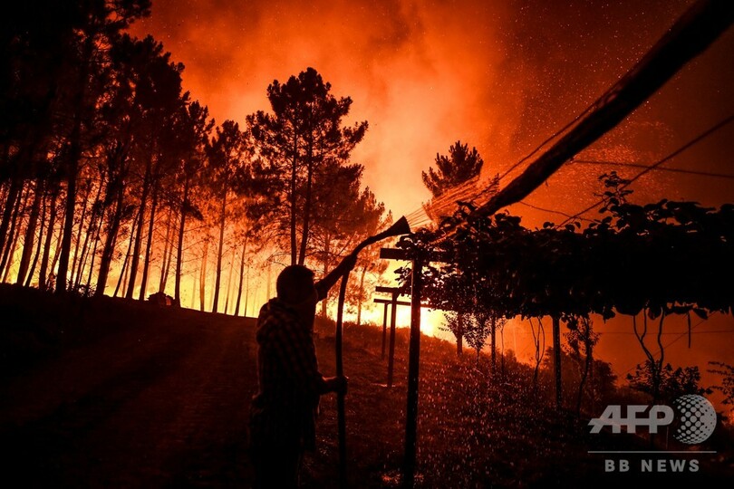 ポルトガル中部で山火事 消防隊員1700人が消火活動 写真10枚 国際ニュース Afpbb News