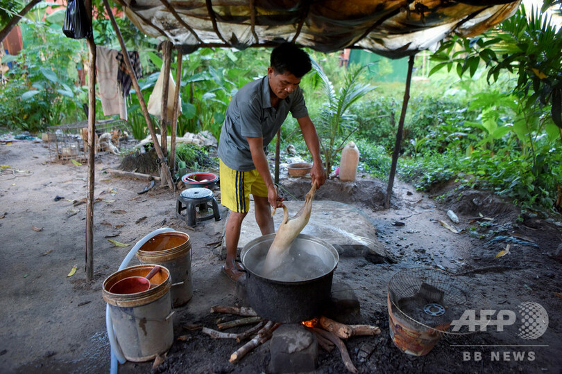「これは罪だ」 カンボジアに広がる闇の犬肉産業