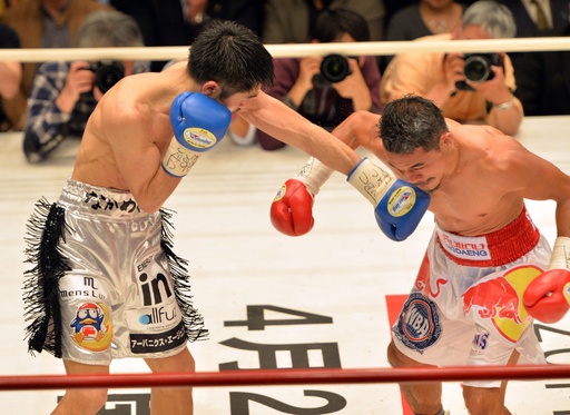 河野がKO勝ちで王座奪還、WBA世界スーパーフライ級 写真10枚 国際