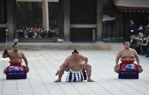 絵画日本画原画「明治神宮奉納土俵入り」 3横綱が明治神宮で新春恒例の奉納土俵入り 写真14枚 国際ニュース