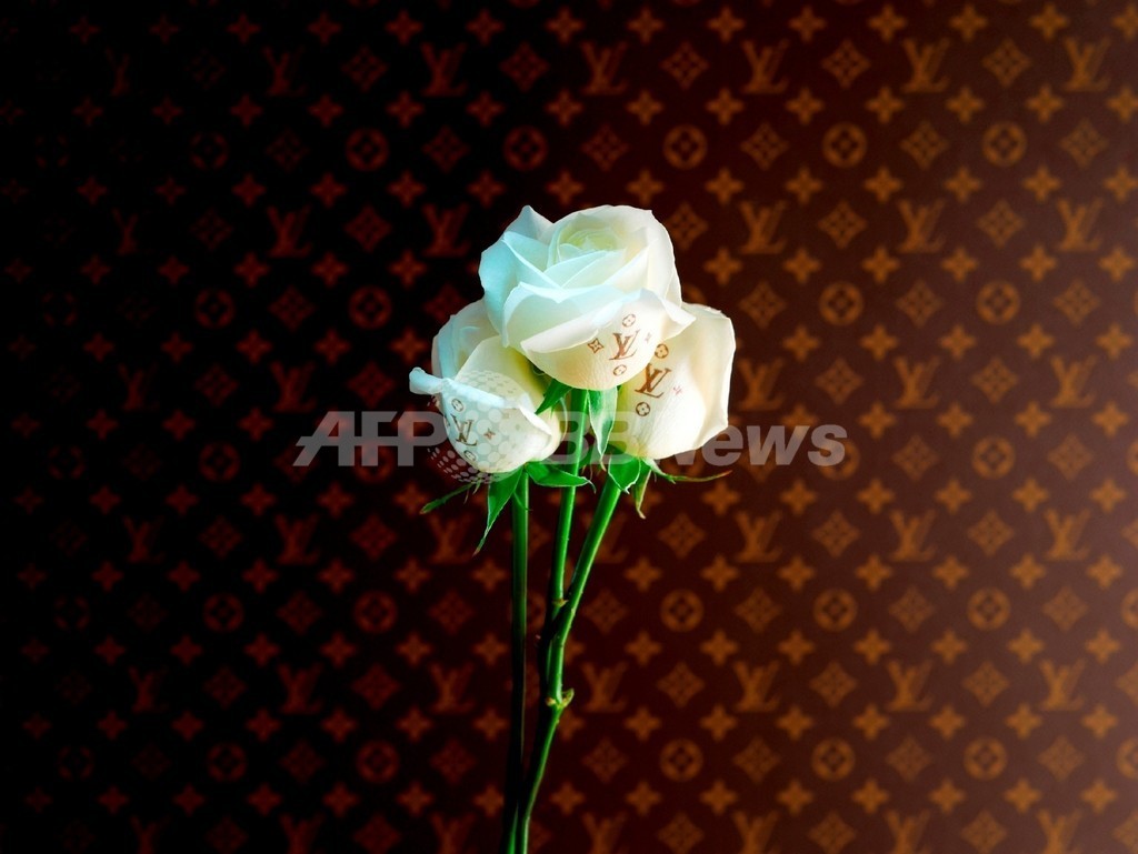 ホワイトデーは ルイ ヴィトン のバラで 写真1枚 国際ニュース Afpbb News