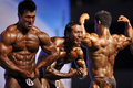 中国南部の広州（Guangzhou）で第46回アジア世界ボディービル選手権（Asian Bodybuilding and Physique Sports Championships）が開催されている。アジア20か国から200人を超す選手が大会に集まった（2012年9月23日撮影）。(c)AFP
