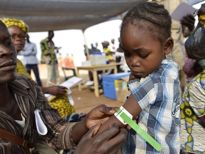 中部アフリカ諸国首脳が臨時会議、中央アフリカ問題で