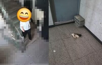 「一見普通の人なのに」退去直後の屋上で発見された“人間由来の廃棄物”…韓国・防犯カメラに映った唯一の人物