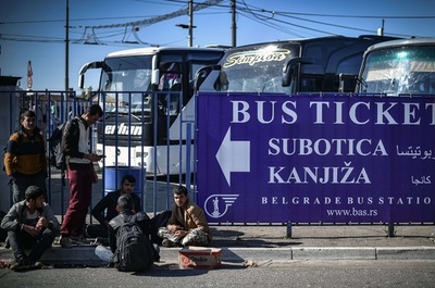 セルビアに入った移民ら、ハンガリーを避けてクロアチア国境へ
