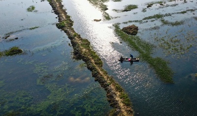 ザリガニ養殖と水稲栽培同時に行う「蝦稲共作」 江西・新余