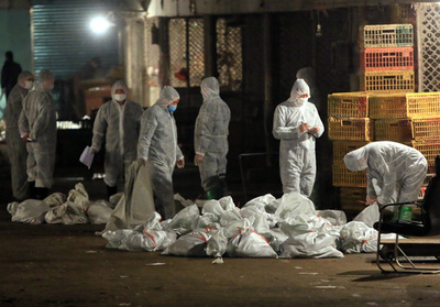 H5N6型の鳥インフル、中国で初の死者
