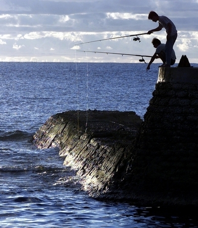 太平洋の漁業、2035年までに崩壊の恐れ 太平洋共同体が報告書