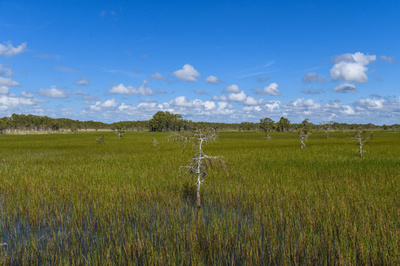 泥にはまり身動き取れず…1週間以上不明の女性が生還 米