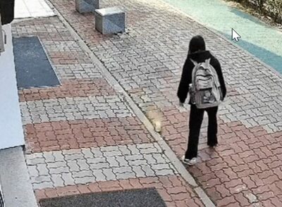 韓国・失われたマナー…路上でラーメン、食べてはポイ捨て、女子学生風の若者に非難殺到