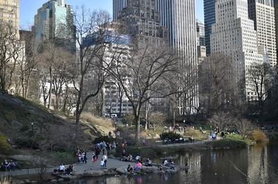 米ニューヨーク、セントラルパークへの車の乗り入れ禁止に