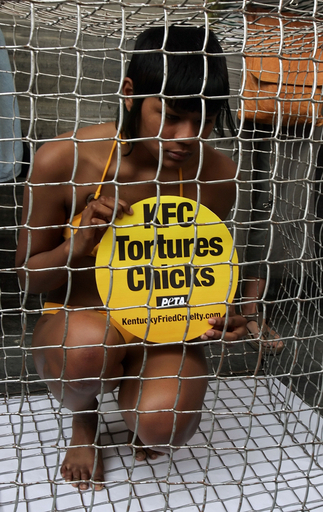 国際動物愛護団体PETA、ニワトリのケージの中からケンタッキー･フライド･チキンに抗議