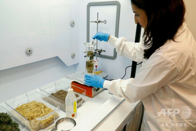 ごみからつくった国産消毒液でコロナと闘う、イスラエルの科学者ら