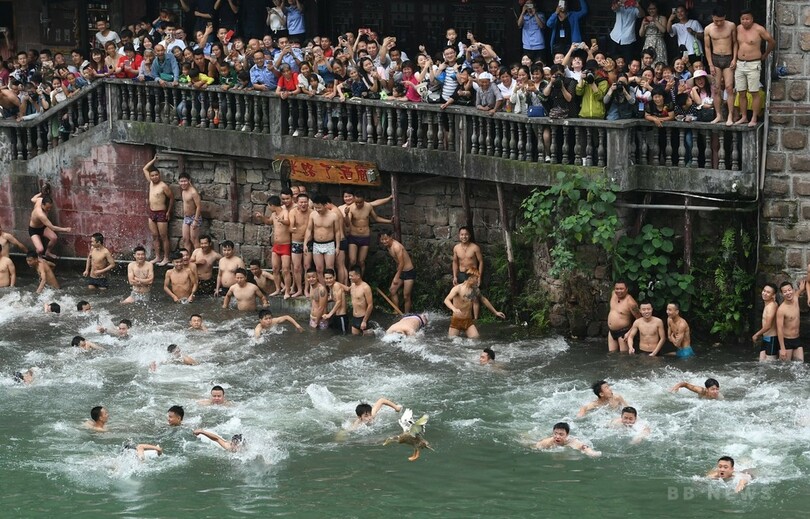 鳳凰古城で鴨争奪戦、湖南