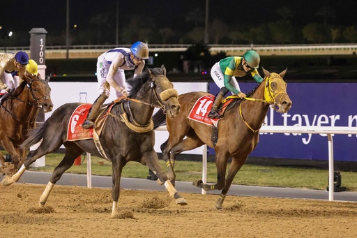 ウシュバテソーロがドバイWC優勝、日本馬3勝 ドバイ国際競走 写真11枚