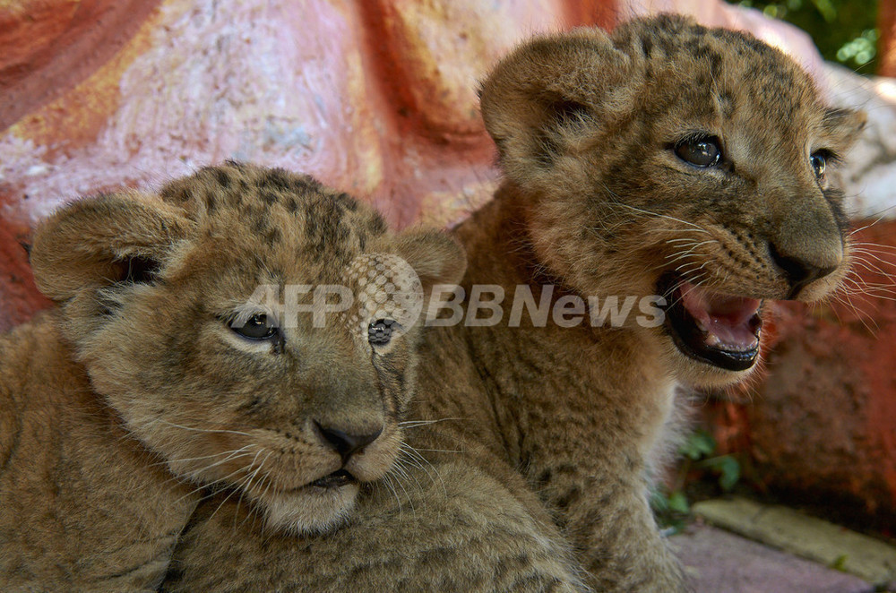 img_033a2ecd27ee9e2ee1a3480296