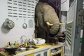 タイ中部フアヒンの民家の台所に食べ物を求めてやって来たゾウ。フェイスブックの投稿から（2021年6月20日撮影、22日入手）。(c)AFP PHOTO /FACEBOOK ACCOUNT OF RADCHADAWAN PEUNGPRASOPPORN
