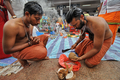 シンガポールで30日、ヒンズー教の大祭タイプーサム（Thaipusam）が行われた。ムルガ（Muruga）神をあがめるこの祭りは、 タミル暦のタイ（Thai）の月の満月の日に行われる。信者らは「カバディ（Kavadi）」と呼ばれる御輿（みこし）を鉄串などで自分の身体に固定して苦行の行進を行う。この祭りはマレーシアでも行われる。

写真は、シンガポールで行われたヒンズー教の大祭タイプーサムで、4キロにおよぶ苦行の行進を始める前に、供物にするココナツを割るヒンズー教徒（2010年1月30日撮影）。(c)AFP/ROSLAN RAHMAN