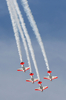米ウィスコンシン（Wisconsin）州オシュコシュ（Oshkosh）で28日、エクスペリメンタル航空機協会（Experimental Aircraft Association）が主催する毎年恒例の航空ショーが開催された。写真は、第2次世界大戦前のAT-6練習機で展示飛行するアクロバティックチーム「AeroShell」（2009年7月28日撮影）。(c)AFP/Getty Images/Jonathan Daniel