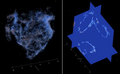 34億年前の微化石の3Dでの再現図（左）と断面図（右）。(c)AFP/NATURE/DAVID WACEY-DEREK GERTSMANN