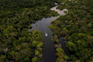 世界最長河川はナイル？ アマゾン？ 探検調査へ