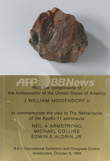 月の石」、実は木の化石だった オランダ国立美術館 写真2枚 国際