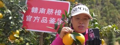 Eコマースがネーブルオレンジ農家の収入増加に貢献 中国・江西省