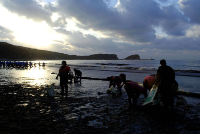 韓国沖の原油流出事故、海岸の汚染深刻　