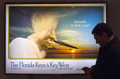 自然界のトランプ氏？米地下鉄広告に