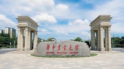 中国の科学者 水稲の干ばつ耐性遺伝子を発見