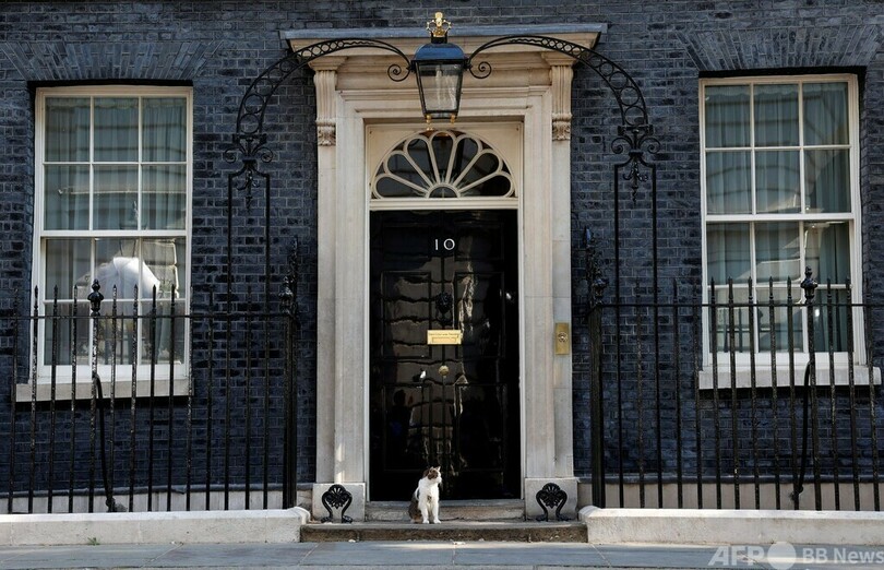 英首相官邸の猫、政局の巻き添えに 次は4匹と同居？