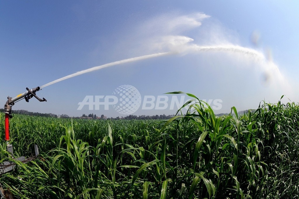 水資源不足と人口急増、世界食料危機に直面 国連 水資源不足と人口急増、世界食料危機に直面 国連