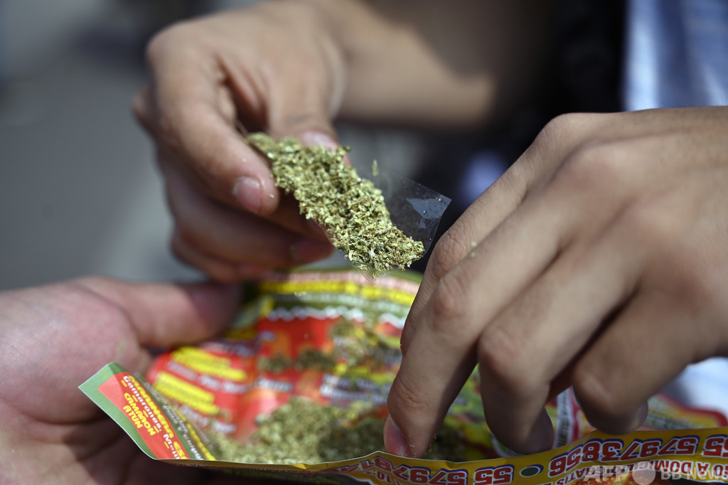 欧州の15~16歳、飲酒・喫煙率が減少 大麻使用率は増加 研究 欧州の15~16歳、飲酒・喫煙率が減少 大麻使用率は増加 研究