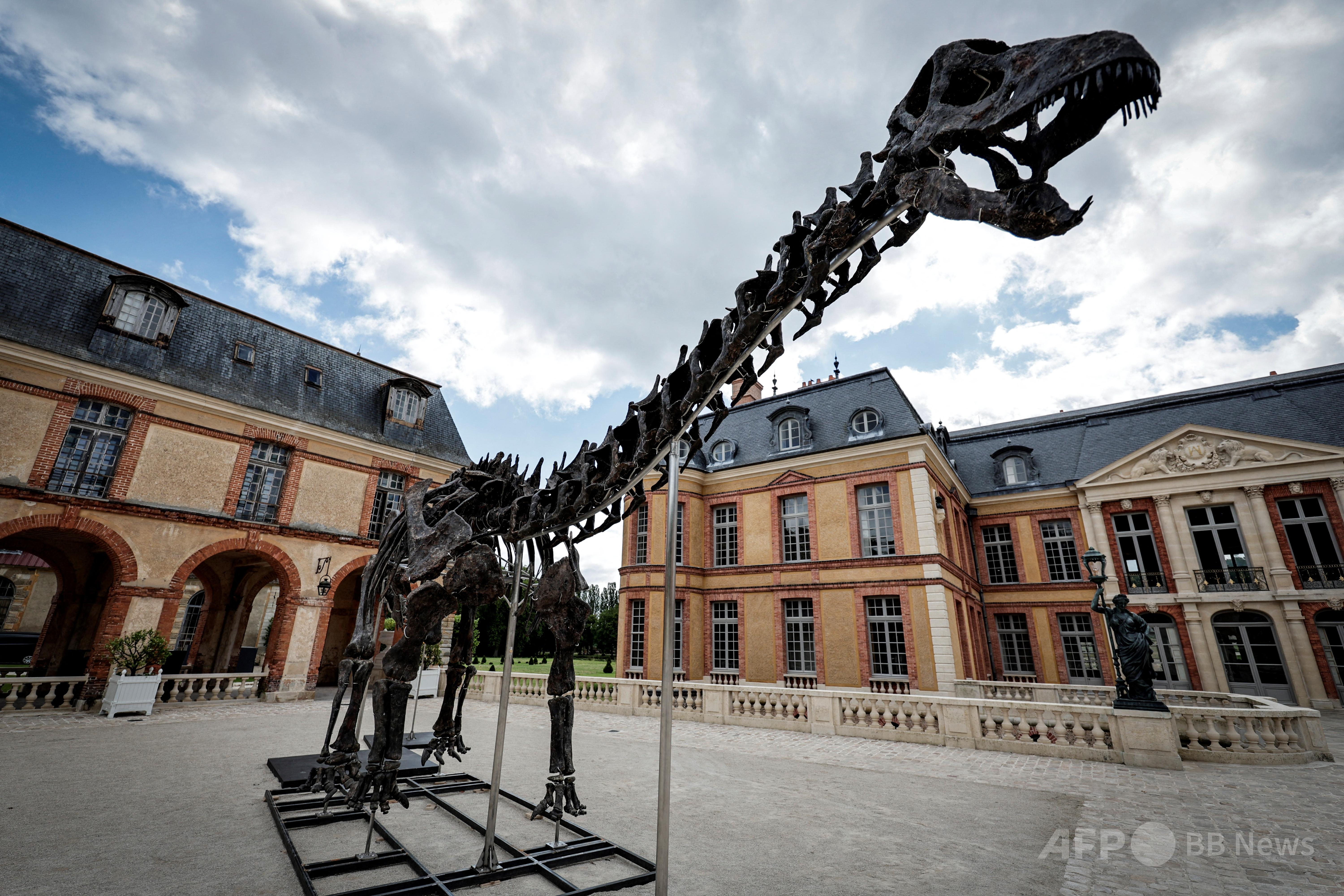 img_04edb0c2efb8e5bcbd140f2e6e