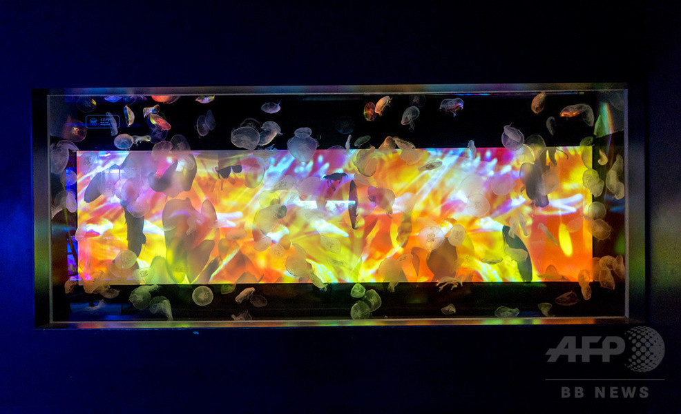 「すみだ水族館」蜷川実花とクラゲの幻想的なコラボレーション