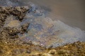 アゼルバイジャン・バクー郊外のカスピ海沿岸にある油田で水たまりに浮かぶ油（2019年3月19日撮影）。(c)Mladen ANTONOV / AFP
